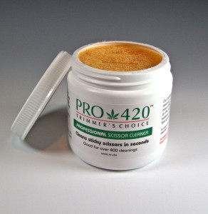 PRO 420 Cleaning Solution