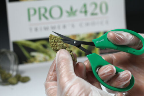 marijuana scissors