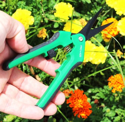 Marijuana Trim Scissors