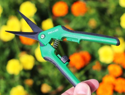 Marijuana Trim Scissors