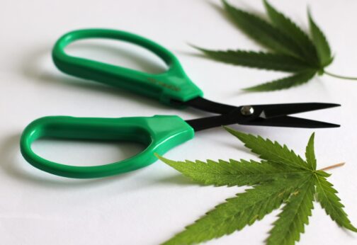 PRO 420 Scissors