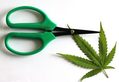 PRO 420 Scissors