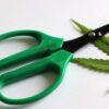 PRO 420 Scissors