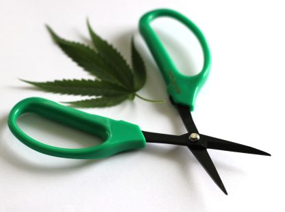 PRO 420 Scissors