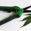 Spring Loaded Scissors