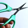 Classic Bonsai Scissors