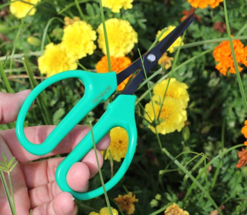 Classic Bonsai Scissors