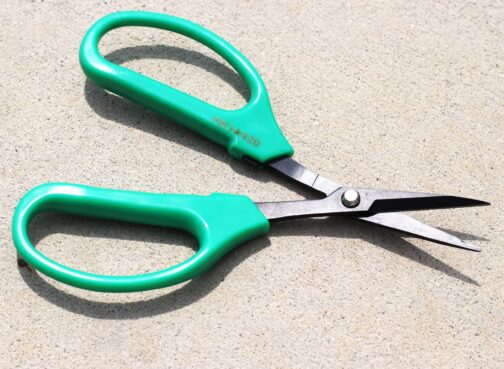 Classic Bonsai Scissors