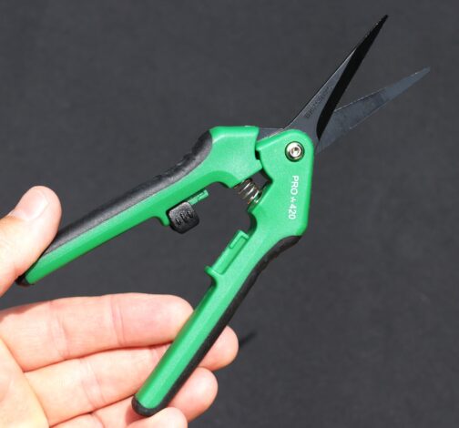 Spring Loaded Scissors