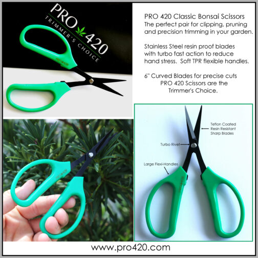 Classic Bonsai Scissors