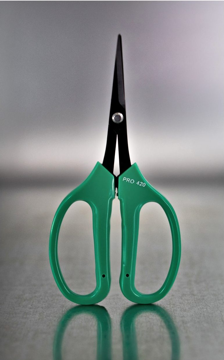 Bud Trimming Scissors For Sale  Cannabis Staffing Agency With Harvesting  Services