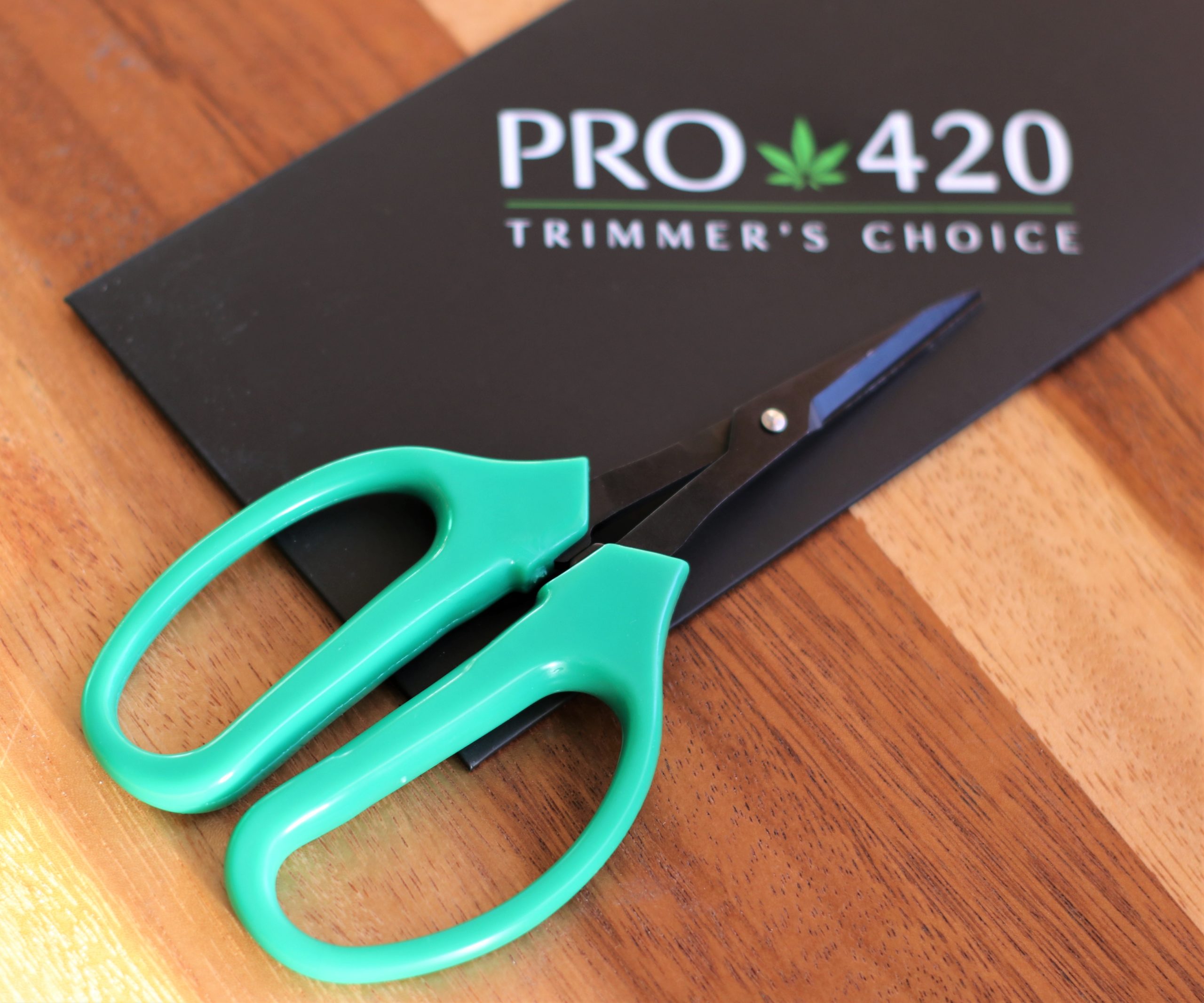 PRO 420 Classic Scissors PRO 420 Scissors - PRO 420