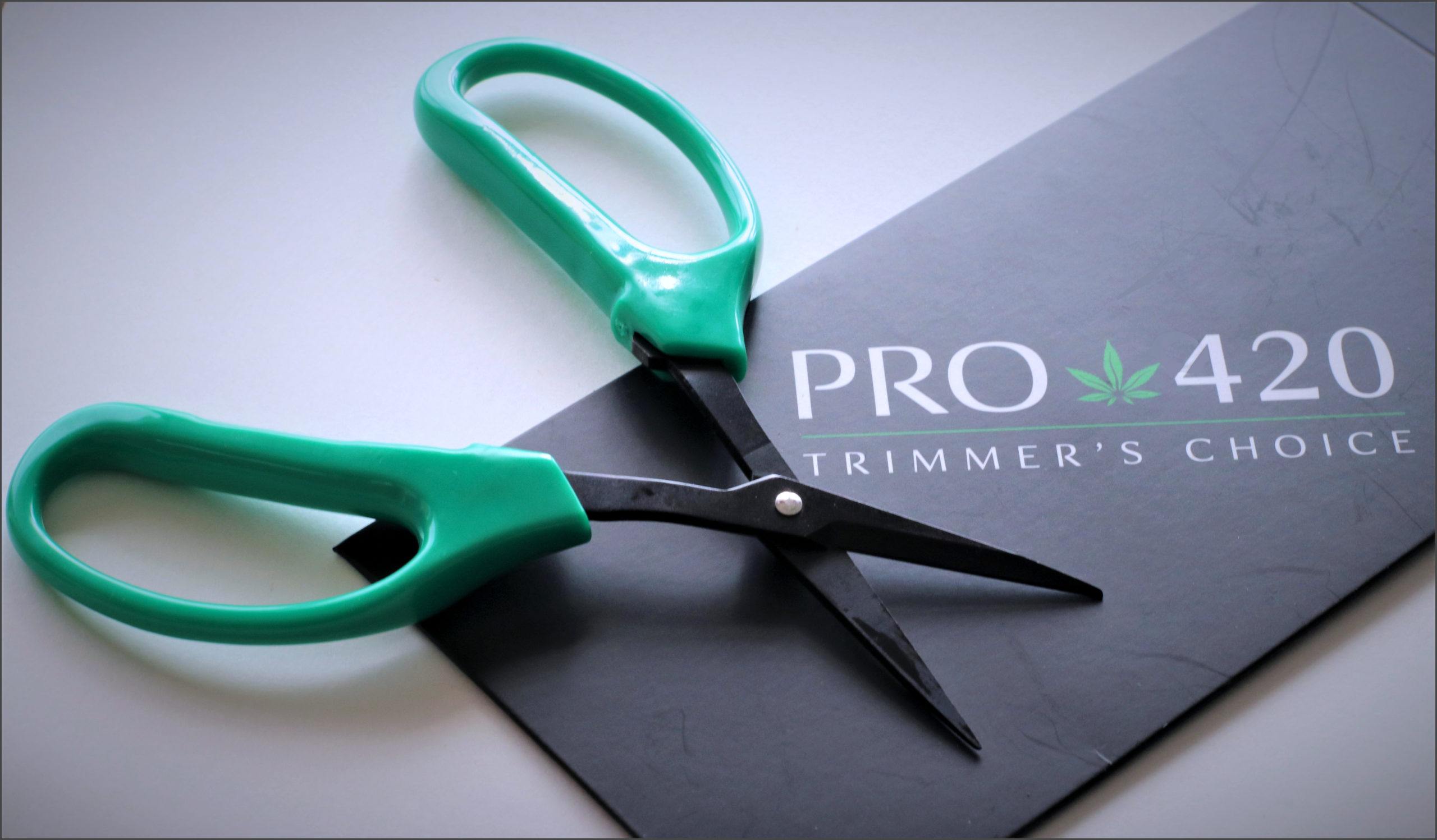 Pro420 scissors