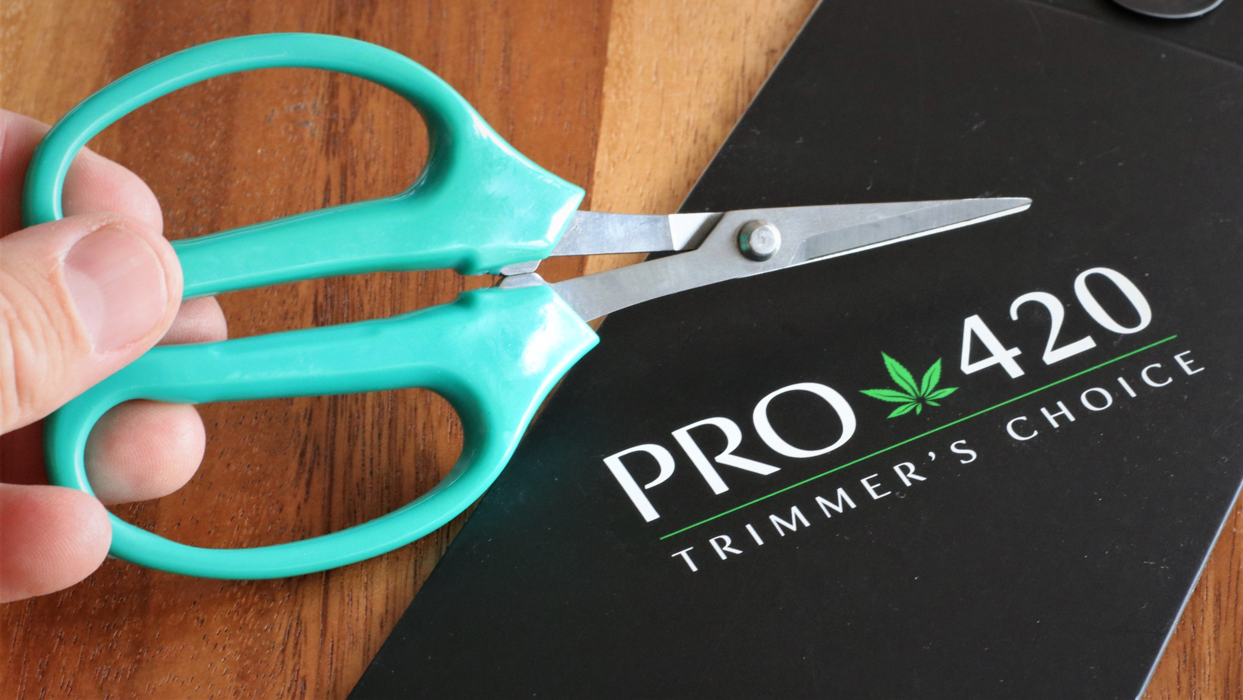 PRO 420 Bud Trimming Scissors-2 PACK-Spring Loaded & Bonsai Scissors for  Harvest